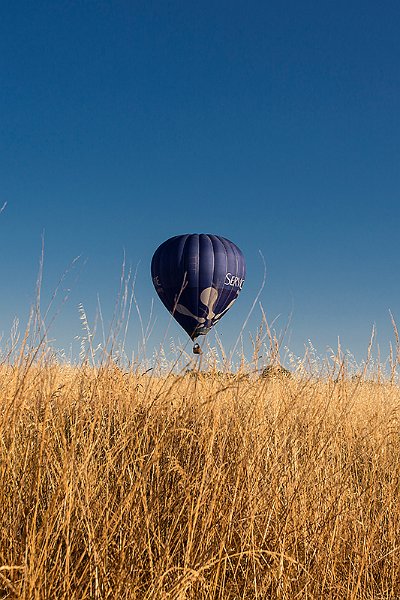 balloon lbg2.jpg